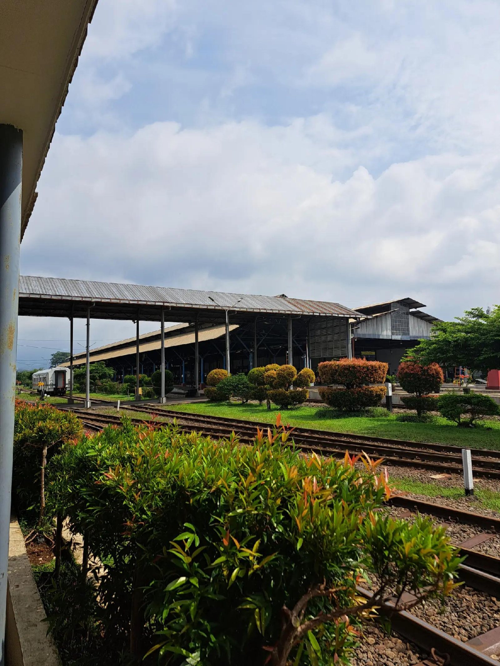 Bunga Dan Rel Kereta