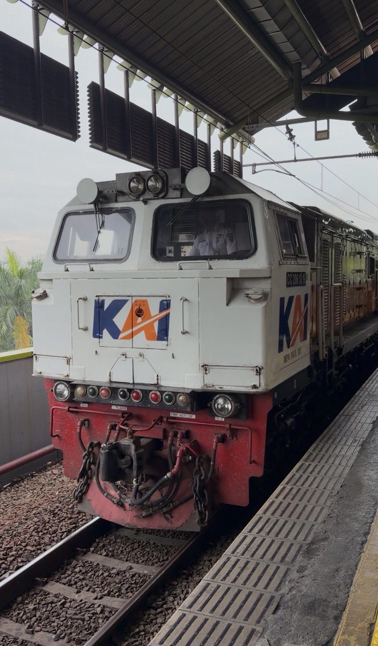 CC206 13 19