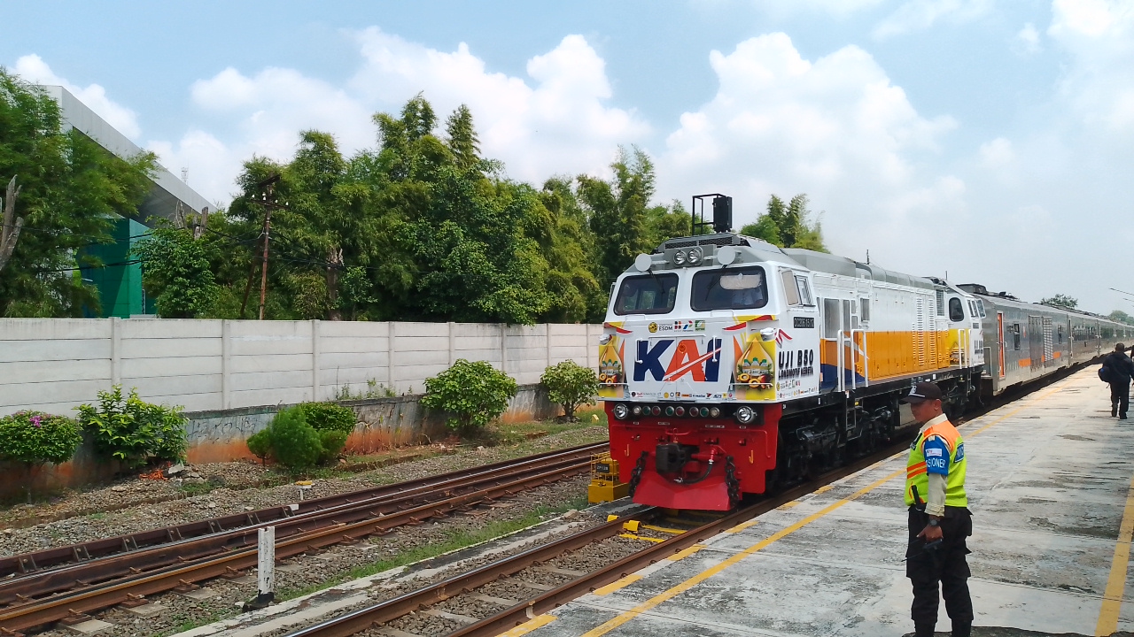 CC206 sawit