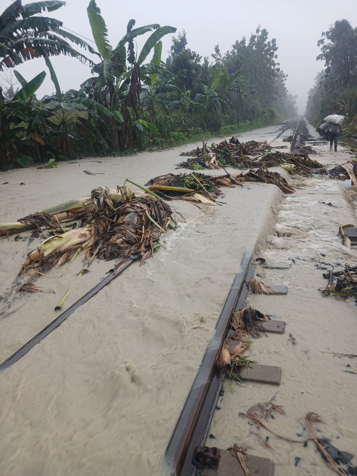 Luapan Air Kereta Api 192 Joglosemar Terdampak di Stasiun Indonesia - foto kereta api terbaru