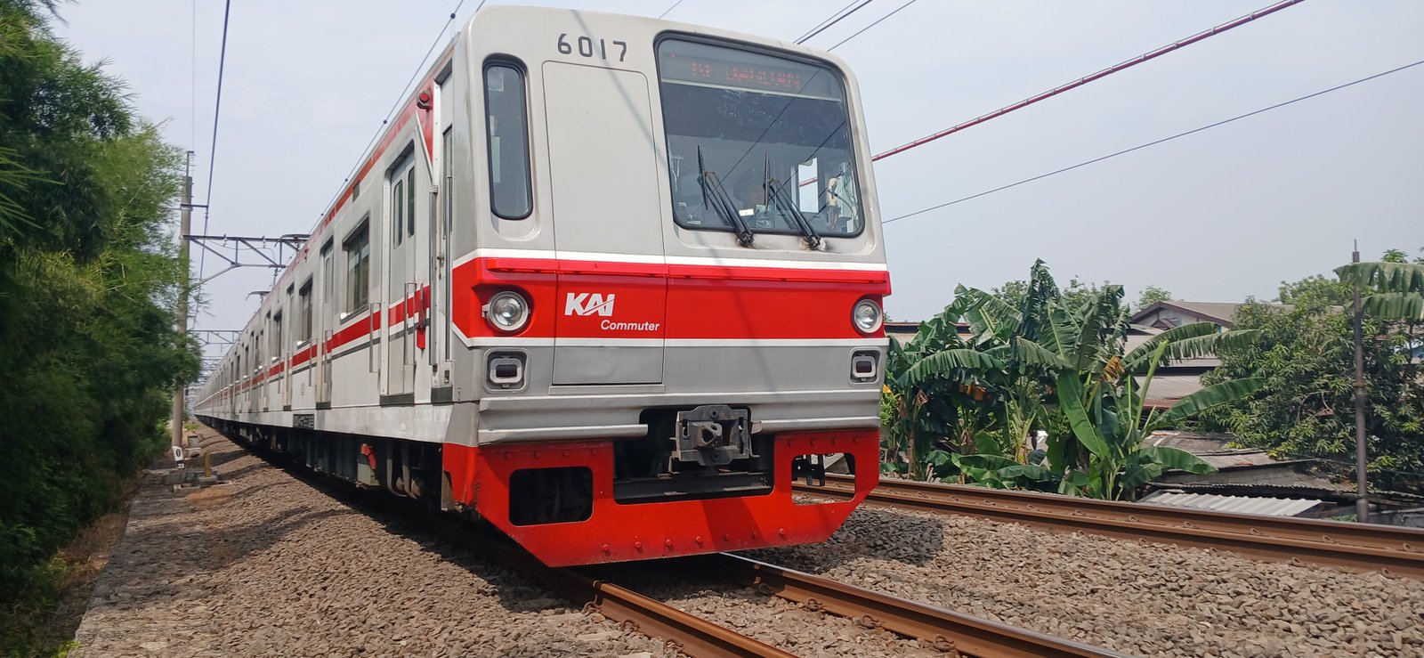 TM 6017
