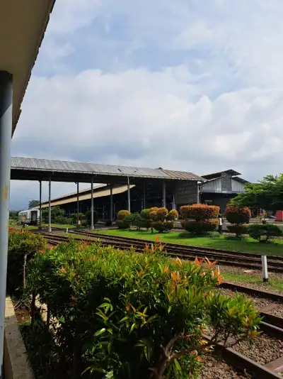 Bunga Dan Rel Kereta
