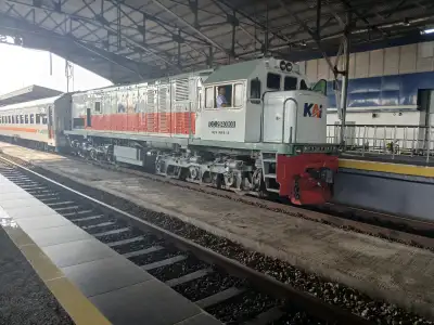Cc 204 03 03