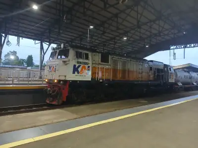 Cc 206 13 20