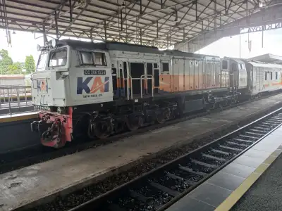 Cc 206 13 54