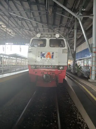 Cc 206 ber ac