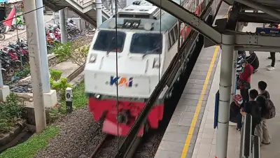 CC203 AC
