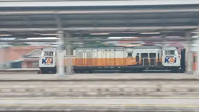 CC206 13 29