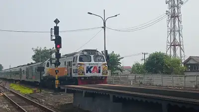 CC206 15 15