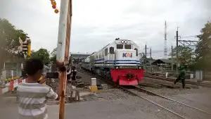 Hunting 