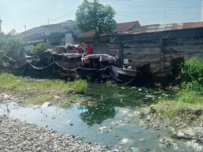 Kandang ayam dan angsa di dekat rel