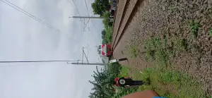 CC 206 livery NATARU