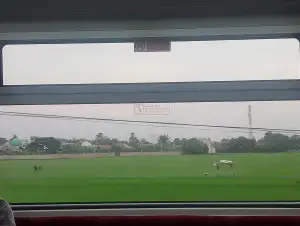 Sawah Telaga Murni - Cikarang 