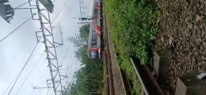 KRL feeder tambun