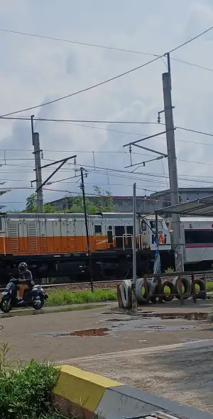 CC 206 13 88