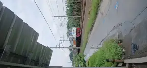 CC 206 13 56