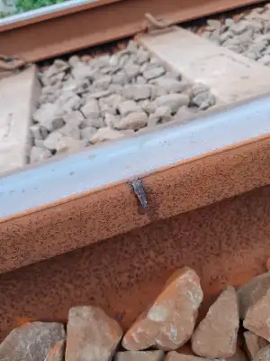 kelabang kelindes KA TAWANG JAYA